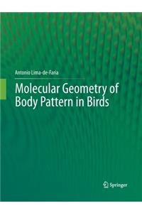 Molecular Geometry of Body Pattern in Birds