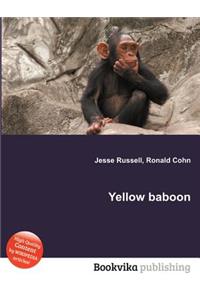 Yellow Baboon