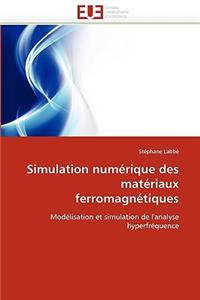 Simulation Numérique Des Matériaux Ferromagnétiques