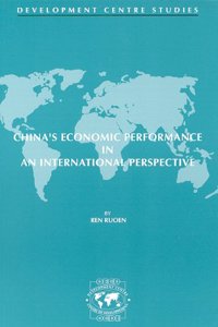 China's Economic Performance in an International Perspective