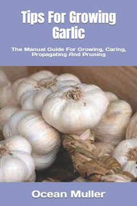 Tips For Growing Garlic