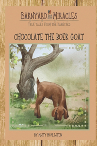 Barnyard Miracles