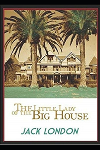 The Little Lady of the Big House Illustrated