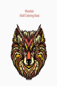 Mandala Adult Coloring Book