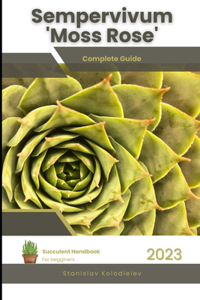 Sempervivum 'Moss Rose'