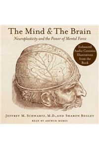 The Mind and the Brain
