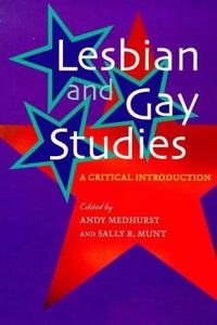 Lesbian and Gay Studies: A Critical Introduction (Lesbian & gay studies) Hardcover â€“ 1 January 1997