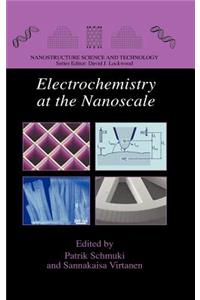 Electrochemistry at the Nanoscale