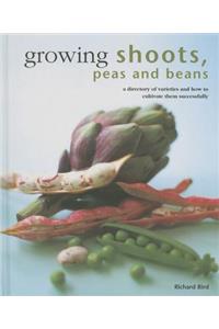Growing Shoots, Peas and Beans