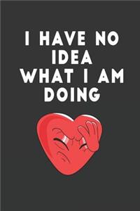 I have No idea what I am doing