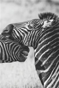Zebra Notizbuch