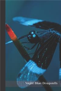 Night Blue Dragonfly