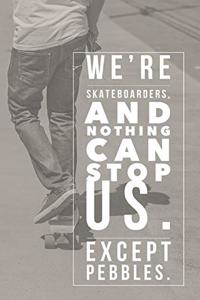 We're Skateboarders and Nothing Can Stop Us Except Pebbles