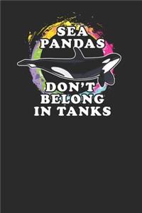 Sea Pandas Don't Belong In Tanks