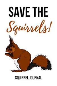 Save The Squirrels!
