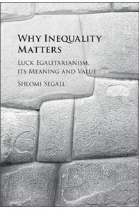 Why Inequality Matters