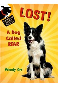 Lost! a Dog Called Bear