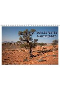 Sur Les Pistes Namibiennes 2018
