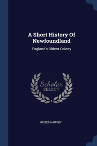 A Short History Of Newfoundland
