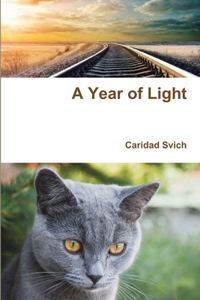 Year of Light