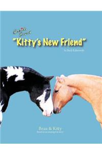 Kitty's New Friend