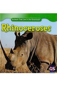 Rhinoceroses
