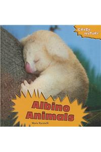 Albino Animals