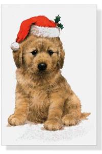 Festive Pup Small Boxed Holiday Cards