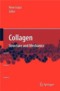 Collagen