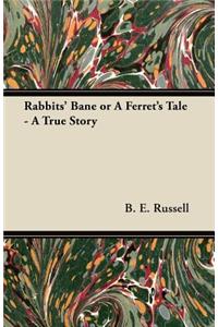 Rabbits' Bane or A Ferret's Tale - A True Story