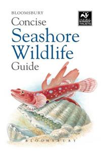 Bloomsbury Concise Seashore Wildlife Guide