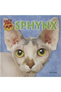 Sphynx