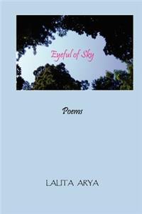 Eyeful of Sky