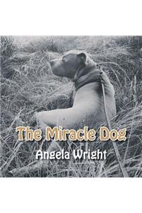 Miracle Dog