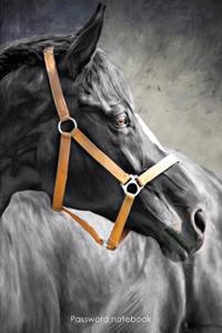 Password Notebook: Large Internet Address and Password Logbook / Journal / Diary - Black Horse Cover
