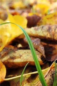 Green Grass Growing Through Autumn Leaves Journal