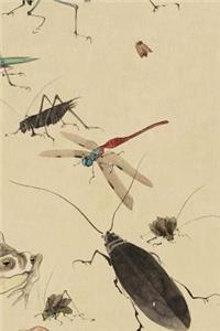 Insect