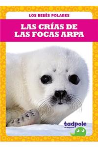 Las Crías de Las Focas Arpa (Harp Seal Pups)