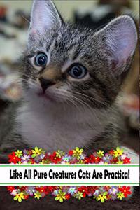Like All Pure Creatures Cats Are Practical
