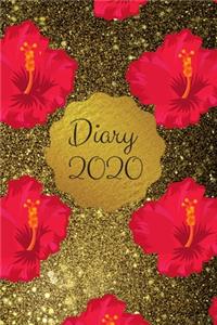 Diary 2020