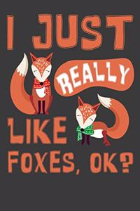 I Just Really Like Foxes, Ok?