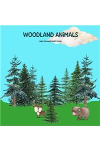 Woodland Animals Baby Shower Guest Book