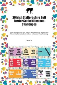 20 Irish Staffordshire Bull Terrier Selfie Milestone Challenges