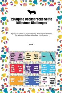 20 Alpine Dachsbracke Selfie Milestone Challenges
