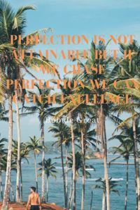 Perfection Is Not Attainable But If We Chase Perfection We Can Catch Exellence