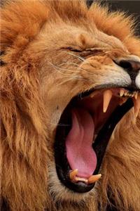 Huge Lion Yawning Journal