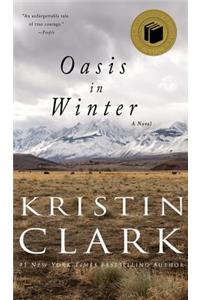 Oasis in Winter