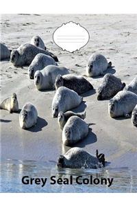 Grey Seal Colony on Cover wideruledlinepaper Composition Book