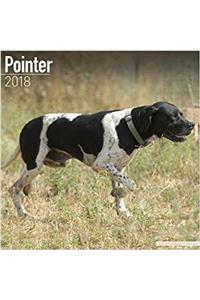 Pointer Calendar 2018