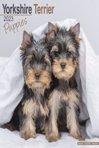 Yorkshire Terrier Puppies 2023 Wall Calendar
